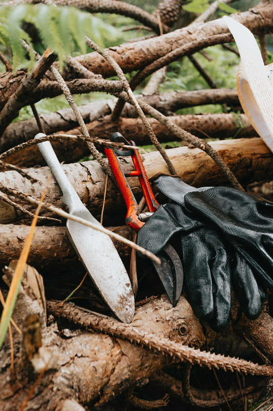 This picture highlights several tools commonly used for gardening. It shows a trowel, shears, and black gloves.