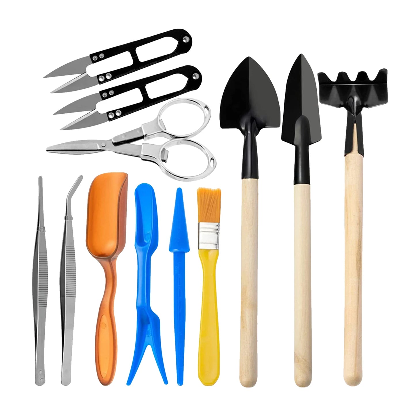 12-in-1 Succulent Gardening Kit