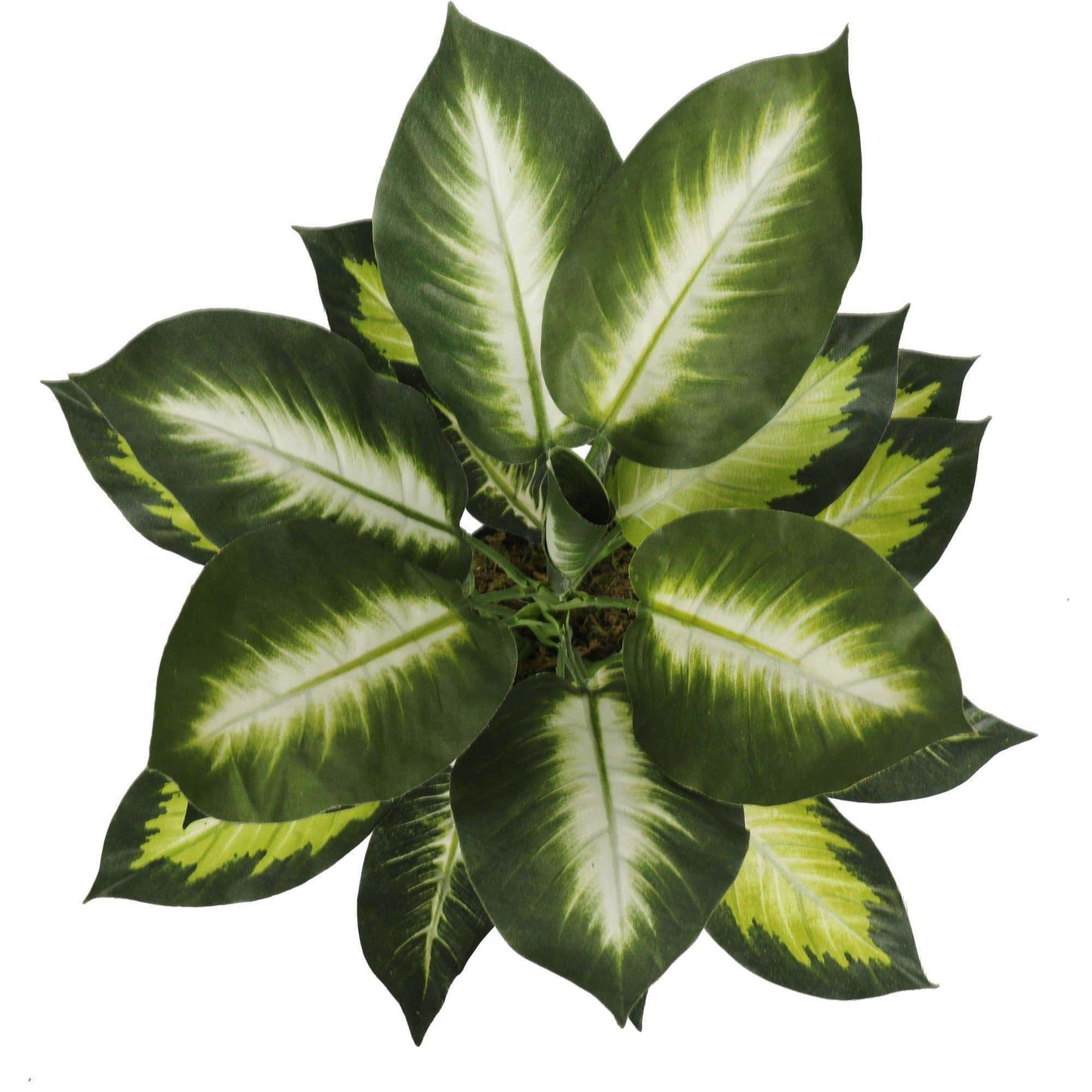 Artificial Potted Plant - Black Pot Included, Made by Artisans