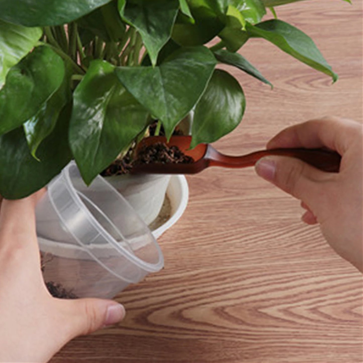 12-in-1 Succulent Gardening Kit