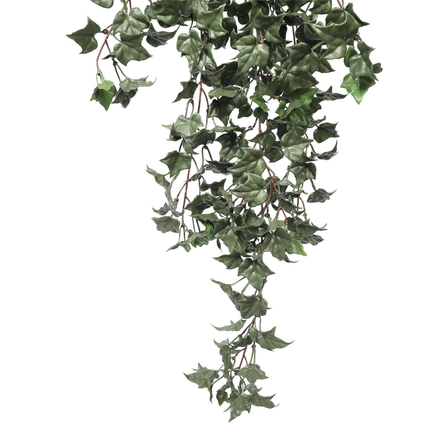 a close up on an artificial ivy plant