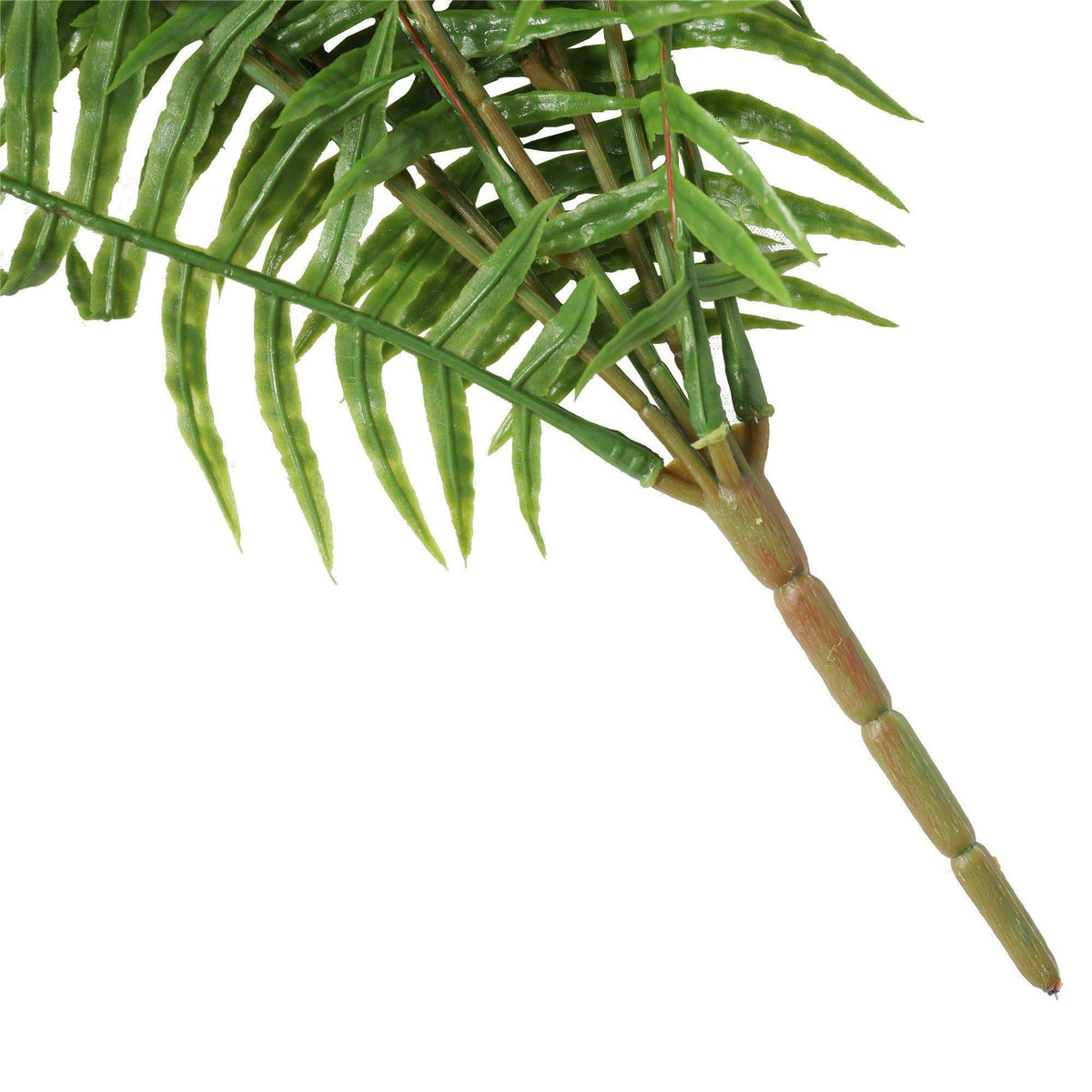 a close up on the stem
