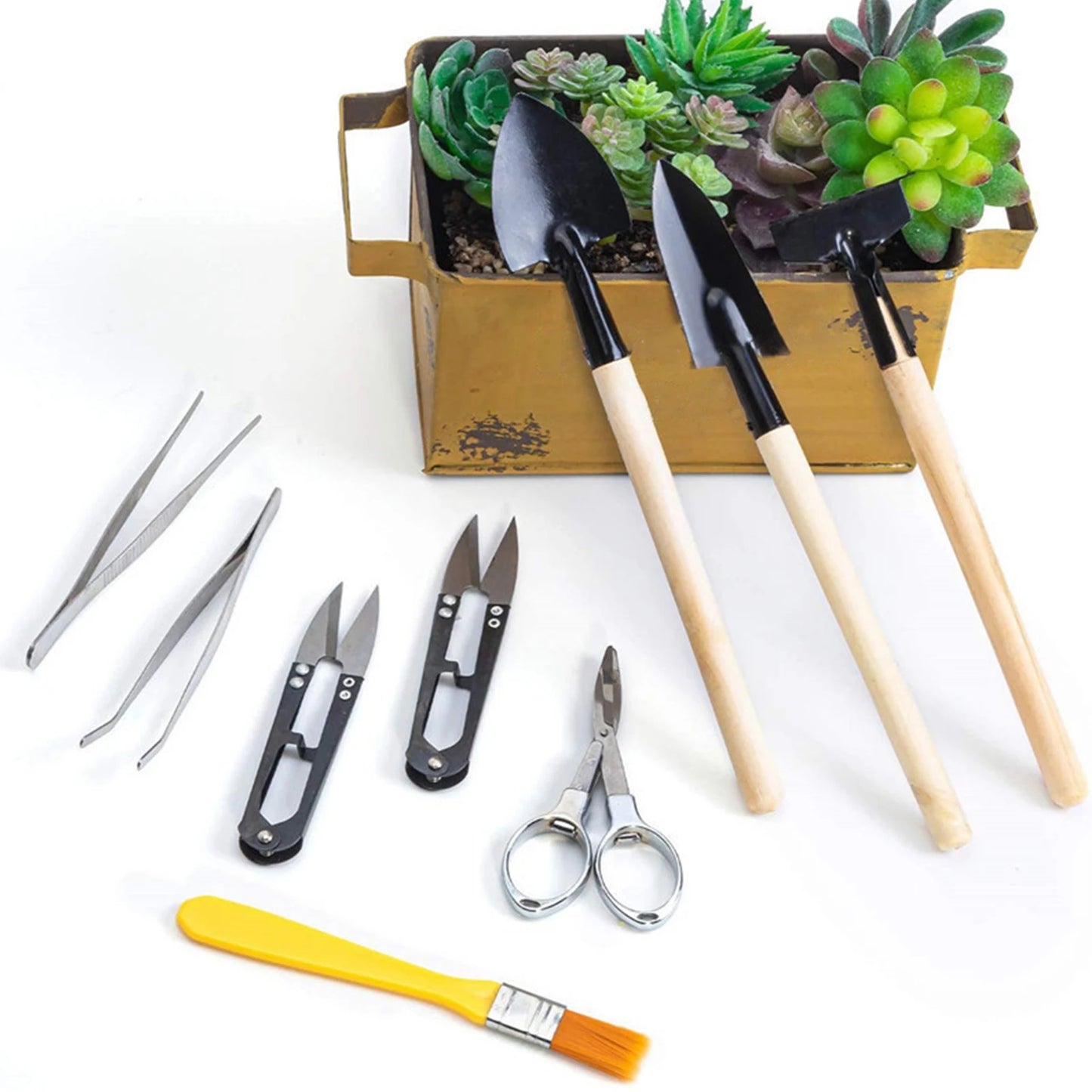 12-in-1 Succulent Gardening Kit