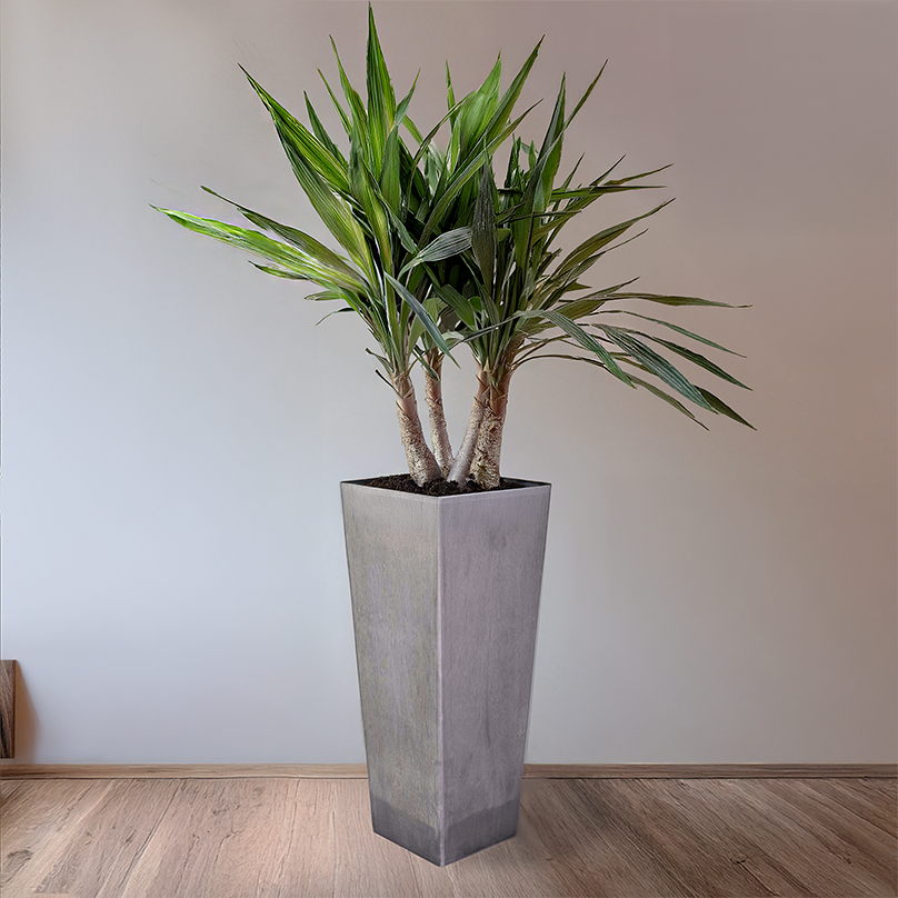 Extra Large Planter (Grey) - Square Opening, 12.6" W for Larger Sized Plants, 27.5" H, Indoor / Outdoor Use