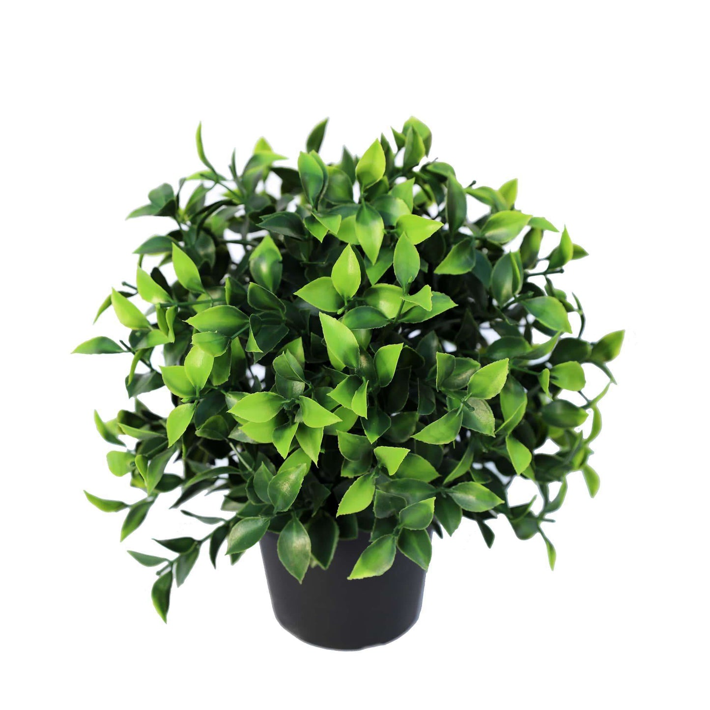 Artificial Jasmine Plant - Black Pot Included, 7.9" Wide, UV Treated