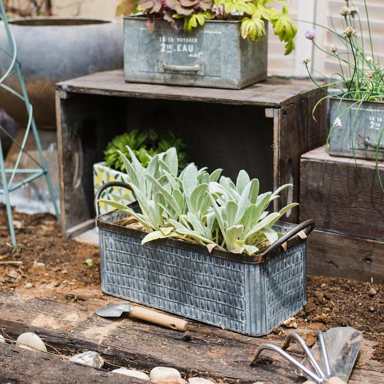 Iron Planter Box (Grey & Black) - Available in 13.4" L or 16.1" L, Indoor / Outdoor Use
