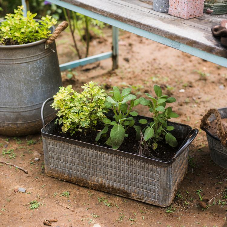 Iron Planter Box (Grey & Black) - Available in 13.4" L or 16.1" L, Indoor / Outdoor Use