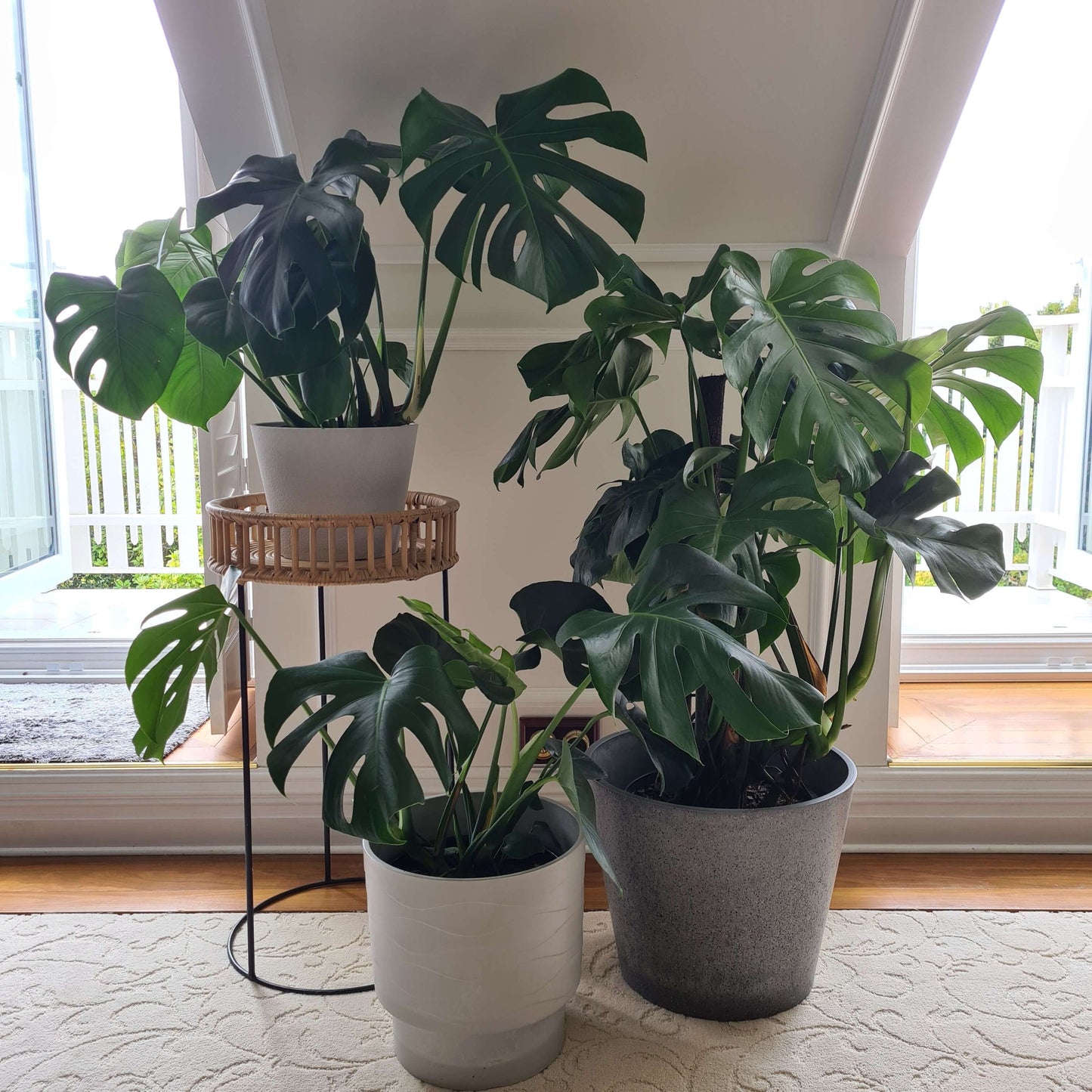 Large Plant Pot (White) - 9.8" W for Larger Sized Plants