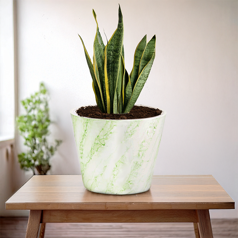 Large Planter (Green) - 9.8" W x 7.9" H, for Larger Sized Plants