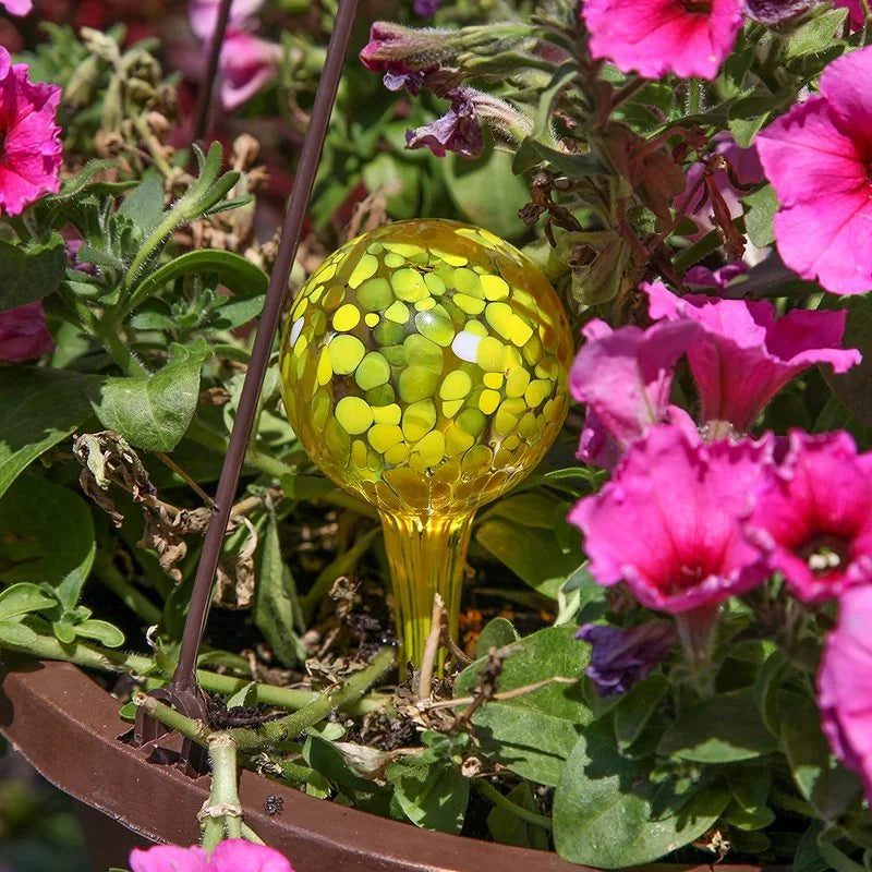 Glass Watering Globes - 5 Pack, Various Colors, Self-Watering