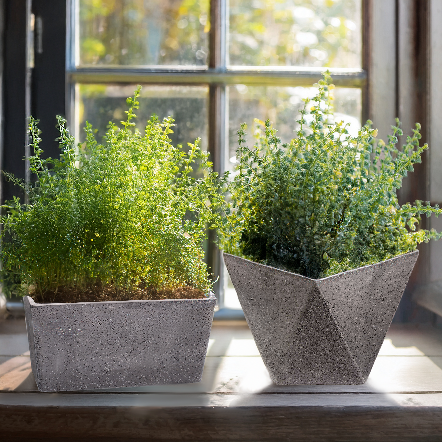 Long Planter (Stone Grey) - for Smaller Plants or Flowers, 10.6" Long