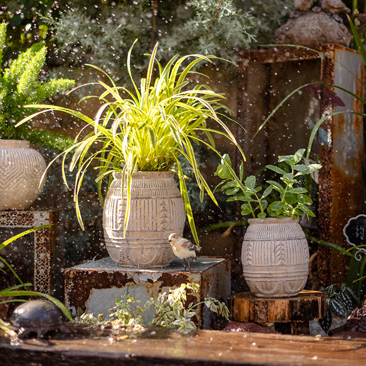 Terracotta Plant Pot - Available in 6.1" W or 7.8" W, for Medium Sized Plants, Indoor / Outdoor Use