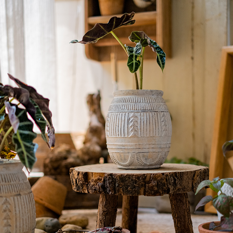 Terracotta Plant Pot - Available in 6.1" W or 7.8" W, for Medium Sized Plants, Indoor / Outdoor Use