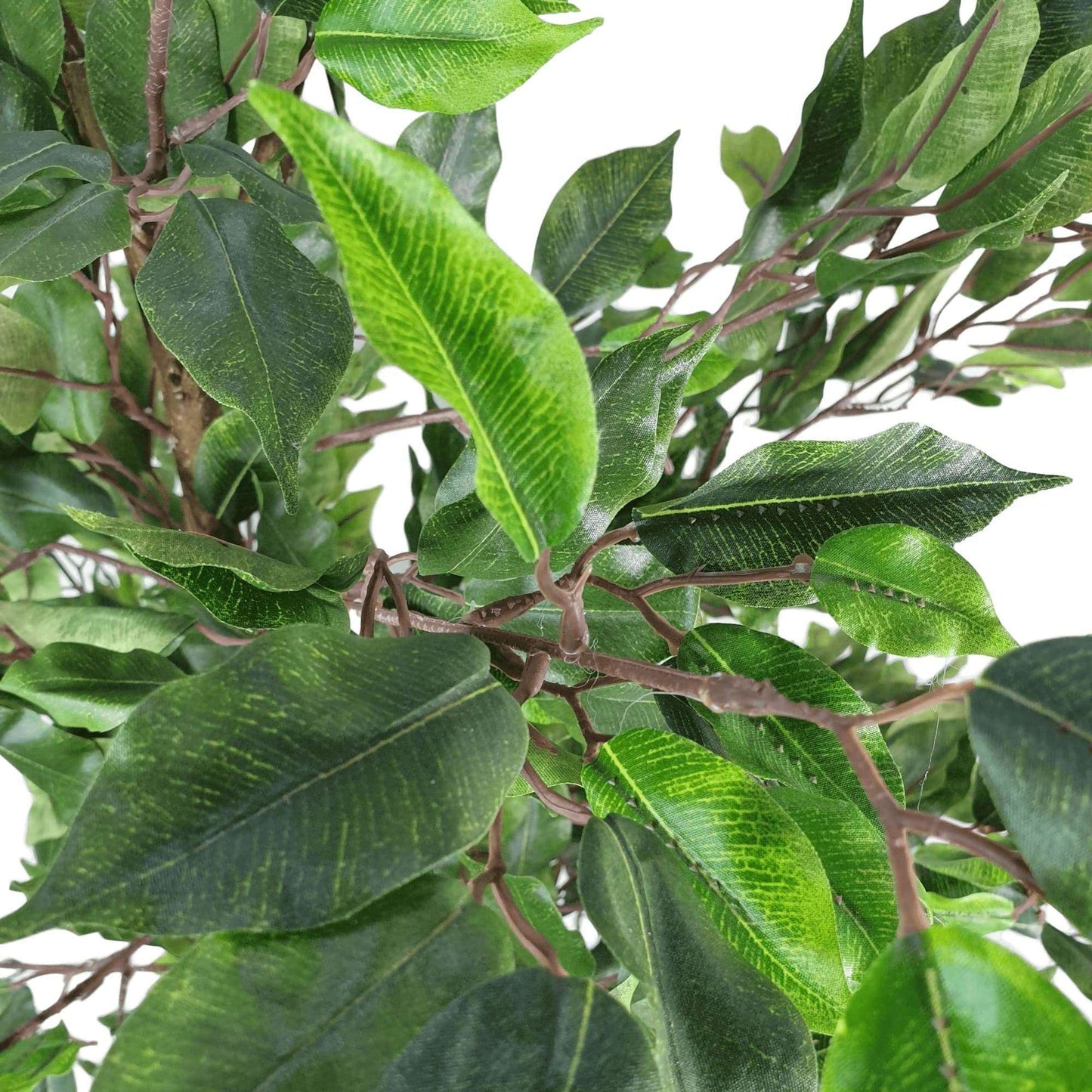 Artificial Ficus Tree - 5.2 ft Tall, Pot Included