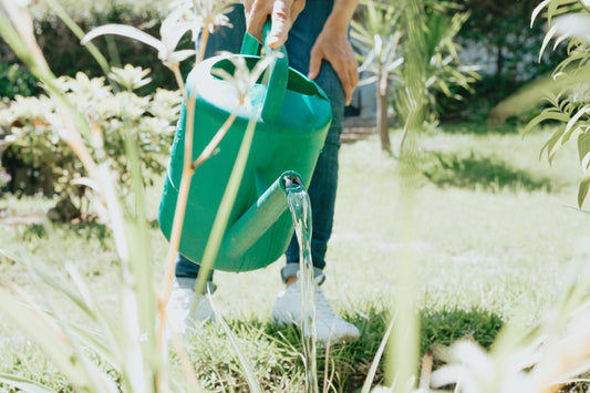 The picture here features a gardener watering their plants.