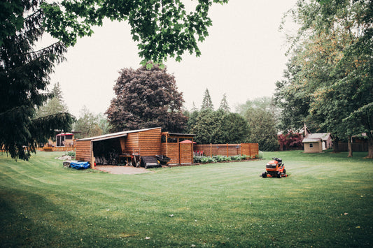 The pictures shows an example of a common rural back yard. The green yard gives of a rustic but charming appeal.