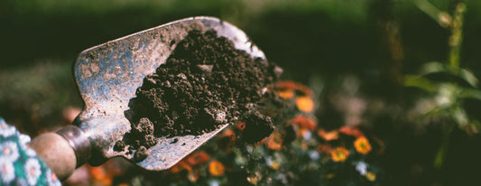 A garden trowel scooping dirt up