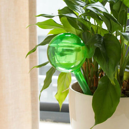 Small Watering Globes - 5 Pack, Available in Various Colors, Plastic