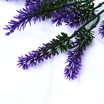 a close up on lavender flowers