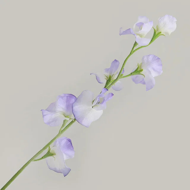Silk Sweet Pea Flowers - 24.4" L, Available in Assorted Colors