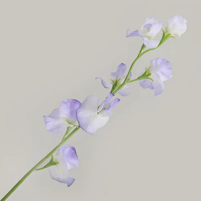Silk Sweet Pea Flowers - 24.4" L, Available in Assorted Colors