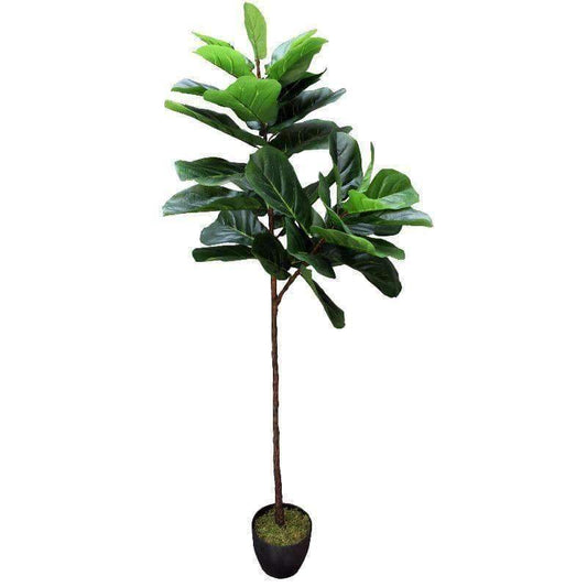 an artificial fig tree in a white backdrop