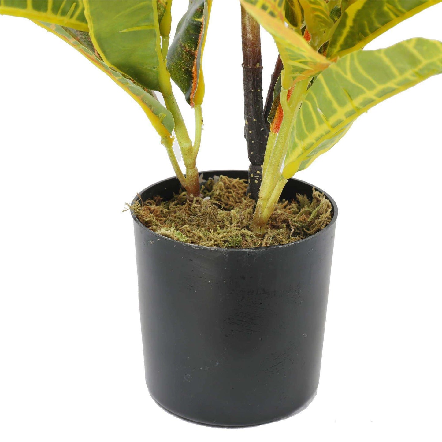 Artificial Zebra Plant -  21.7" H, Pot Included