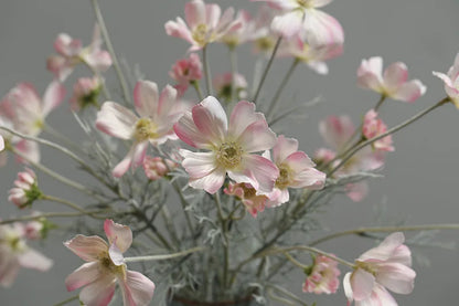 Silk Cosmos Stems - 24" L, Available in Assorted Colors