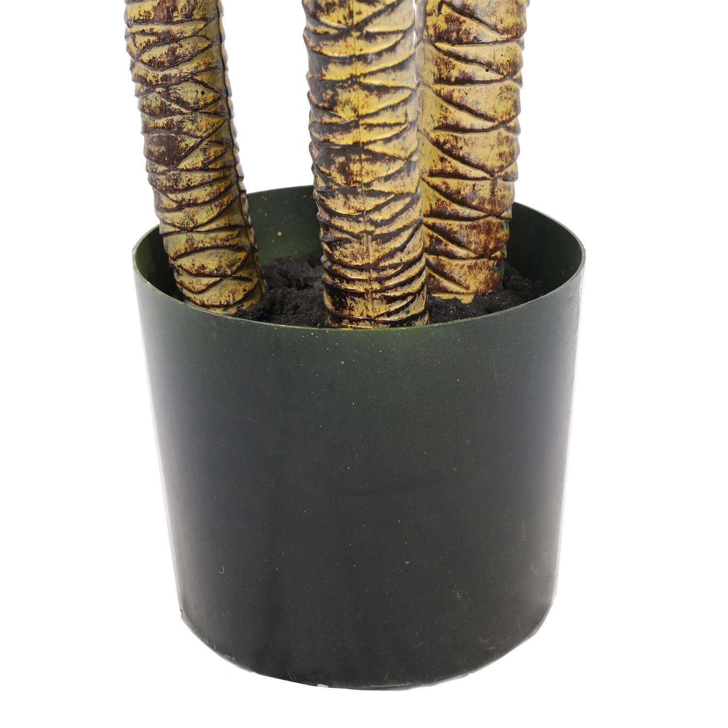 a close up on the palm trunks