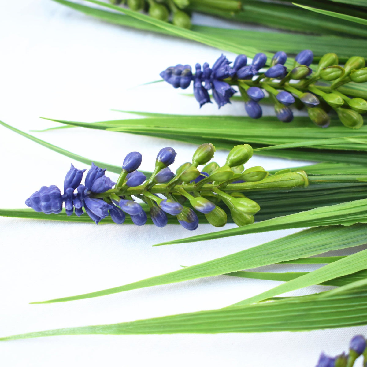 a close up on lavender flowers
