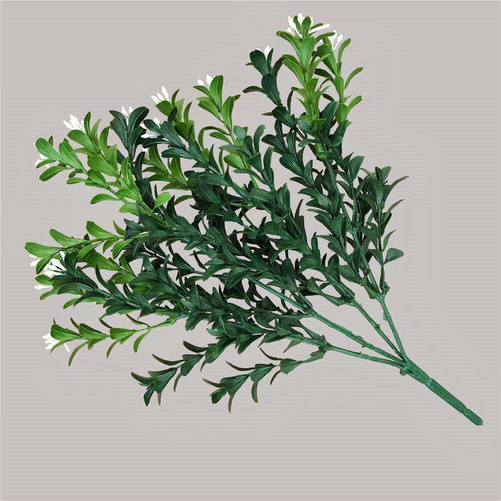 an alternate view on a boxwood stem