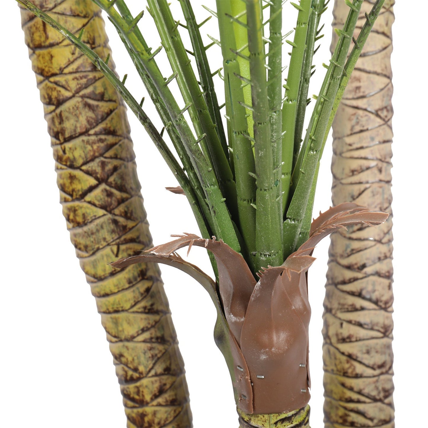 a close up on the detailing of the fronds and trunks