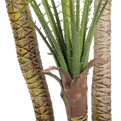 a close up on the detailing of the fronds and trunks