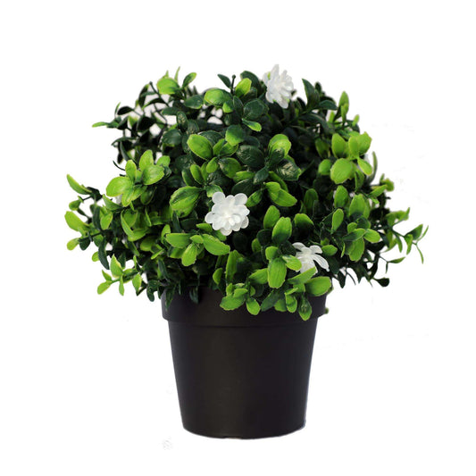 an artificial boxwood plant