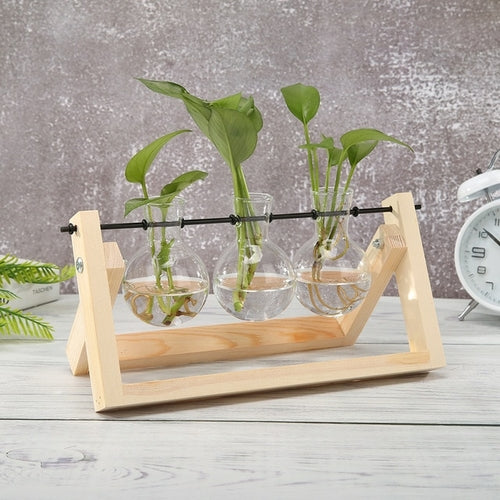 Plant Propagators - Available in Different Sizes