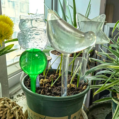 Plastic Watering Globes - for Slow Release Drip, Comes in a 3 Pack