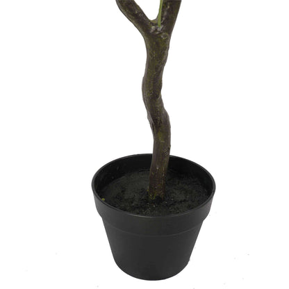 a close up on the pot and trunk
