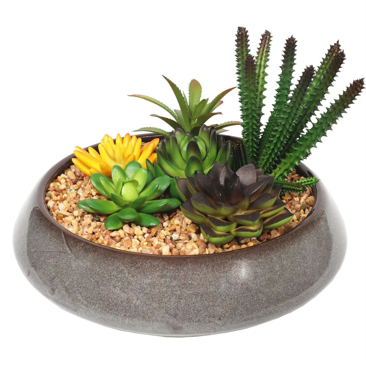 an artificial succulent bowl
