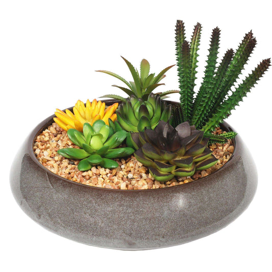 an artificial succulent bowl