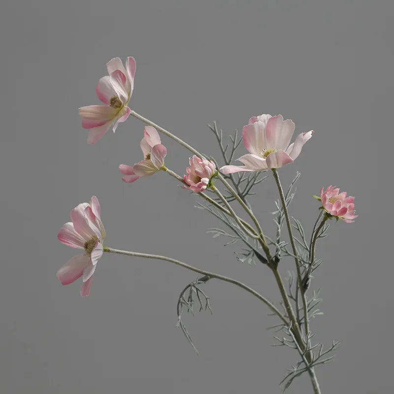 Silk Cosmos Stems - 24" L, Available in Assorted Colors