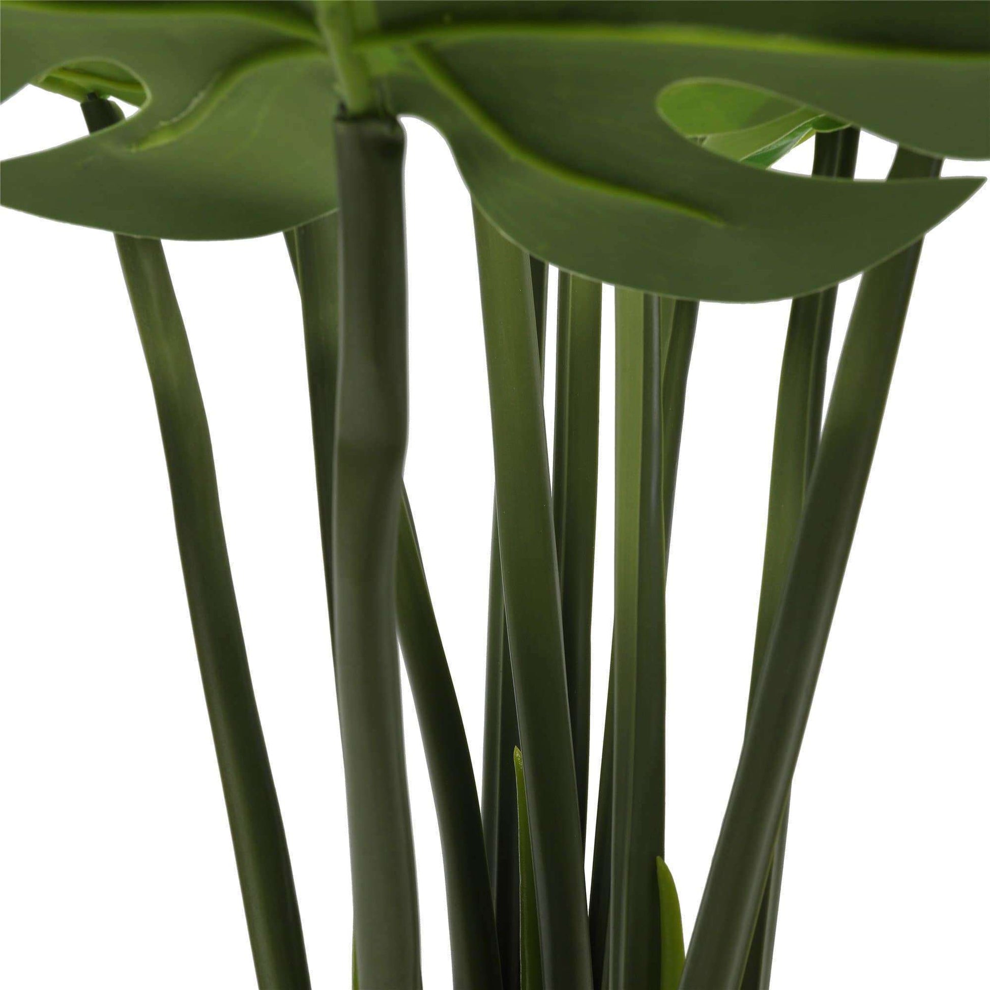 a close up on stems