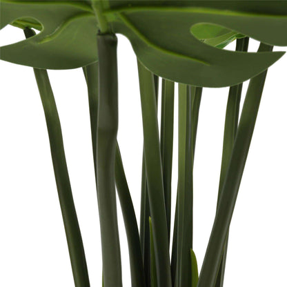 a close up on stems