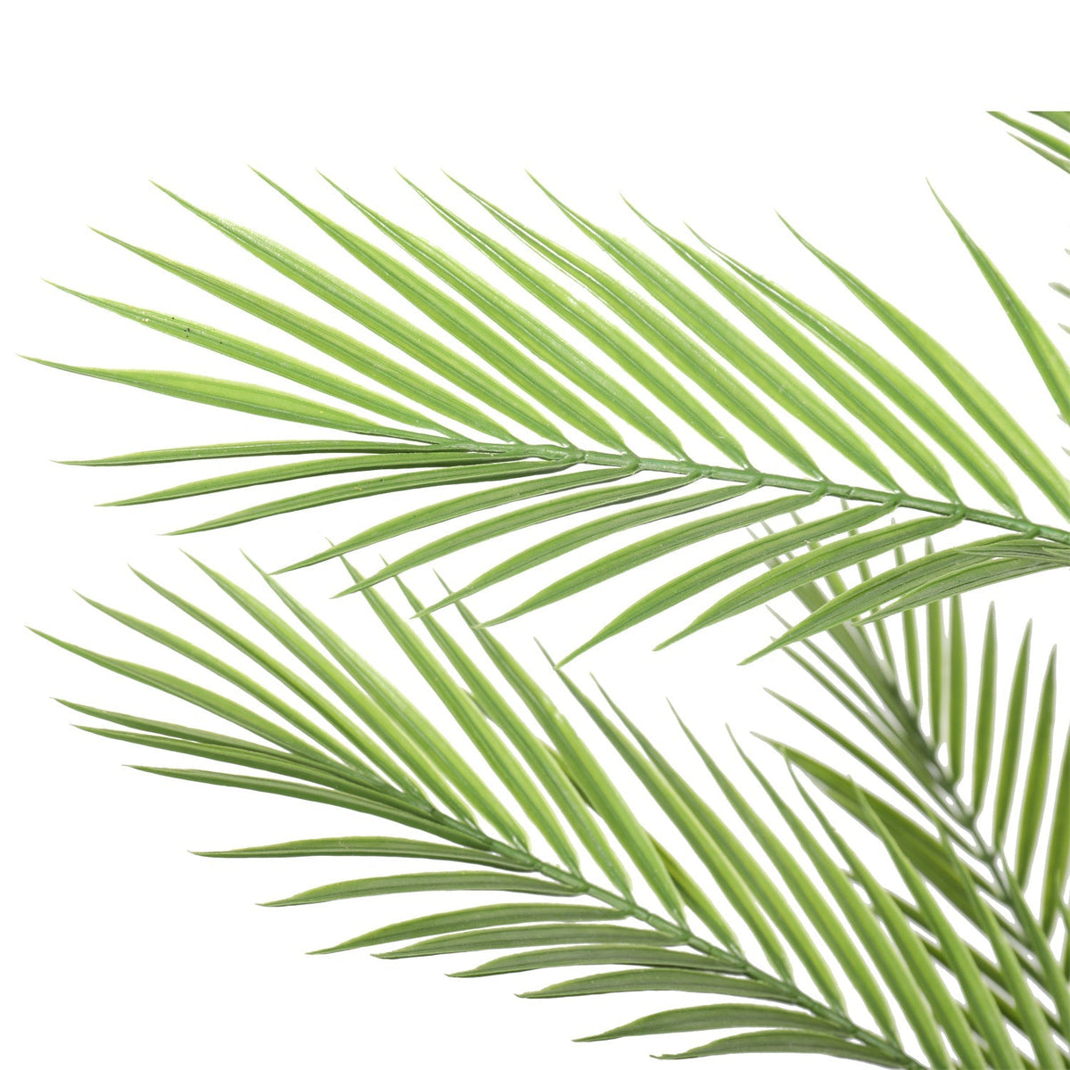 a close up on the artificial palm fronds