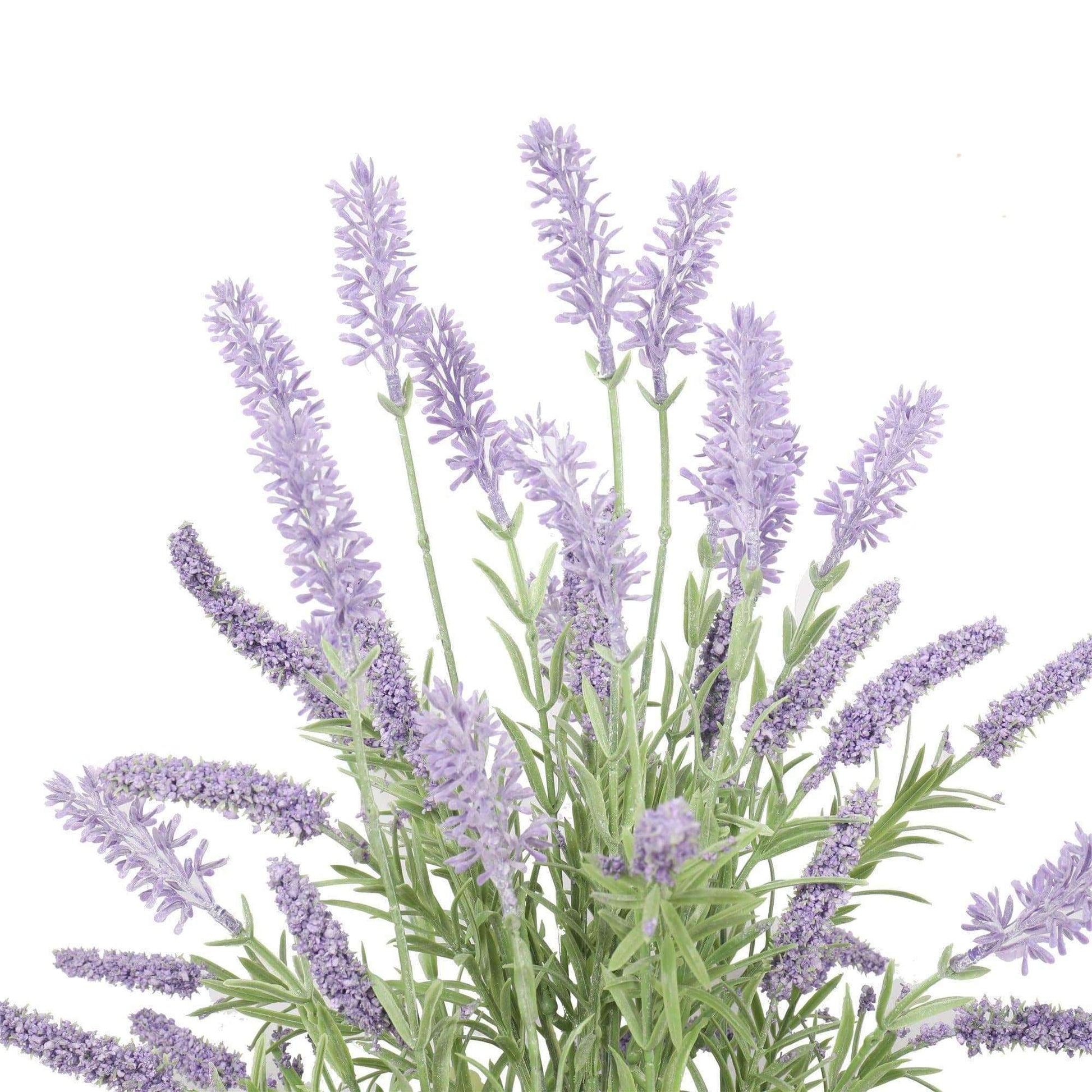 a close up on lavender branches