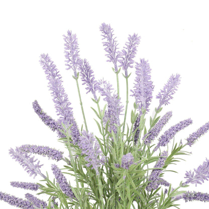 a close up on lavender branches