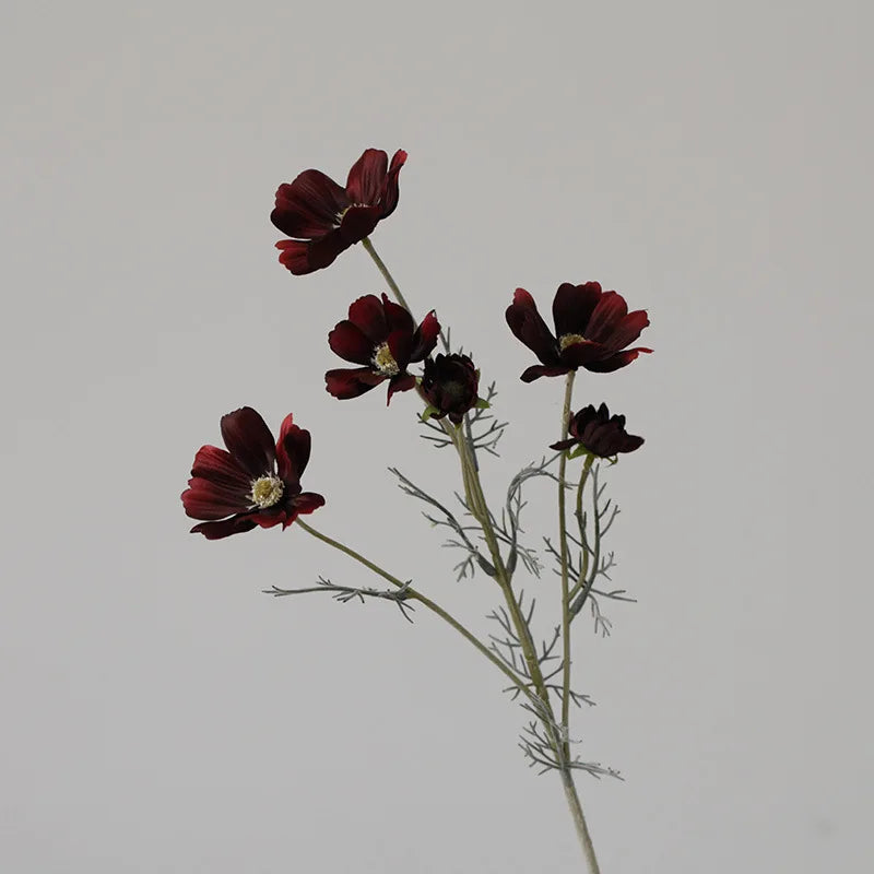 Silk Cosmos Stems - 24" L, Available in Assorted Colors