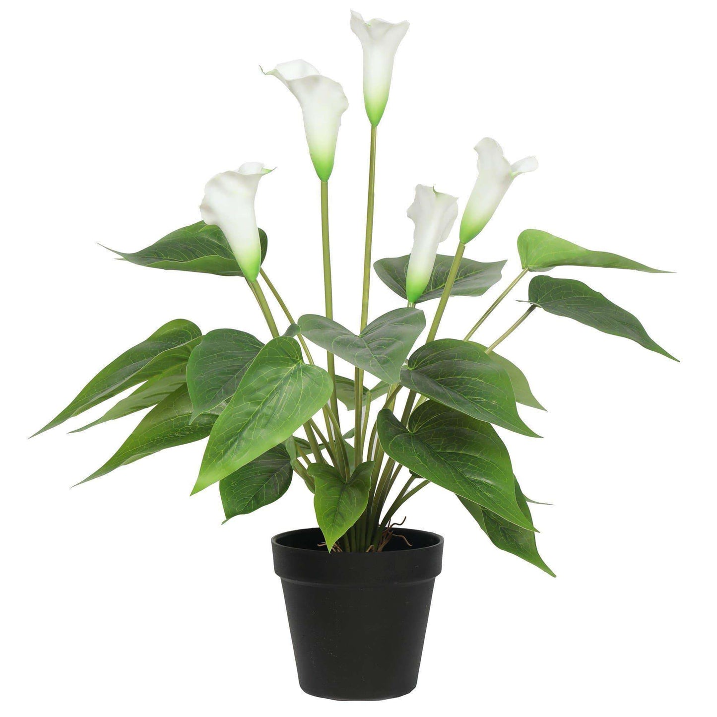 Artificial Calla Lily Plant - 19.7" H, Pot Included