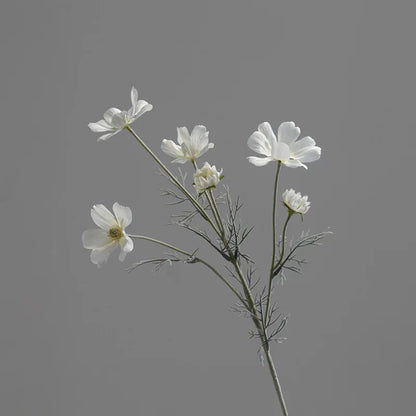 Silk Cosmos Stems - 24" L, Available in Assorted Colors