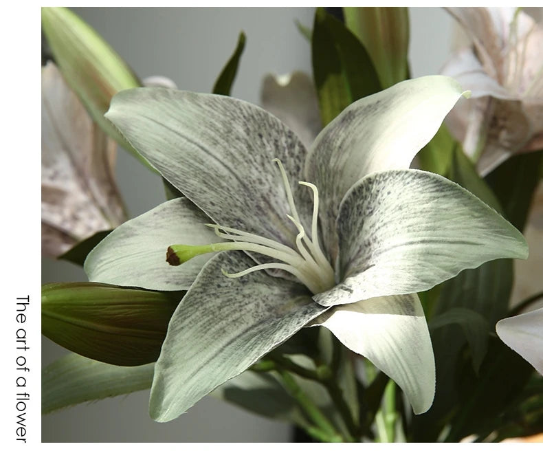 Silk Lilies - 20.8" L, Available in Assorted Colors
