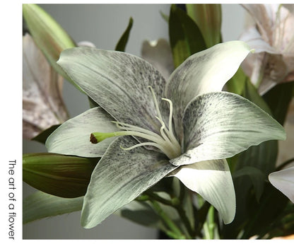 Silk Lilies - 20.8" L, Available in Assorted Colors